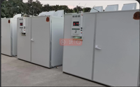 Incubateur d'œufs pour pigeon, oie, poulet, caille, canard - Machine à couver les œufs à vendre