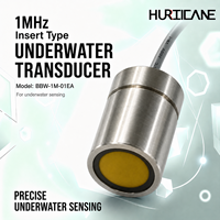 Transducteur ultrasonique subaquatique de type insertion 1 MHz avec indice de protection IP68, boîtier en acier inoxydable 304 pour débitmètre et mesure de distance sous-marine
