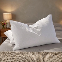 Almohada de Plumas de Ganso de Lujo, Tamaño Estándar, Calidad de Hotel, Suave y Esponjosa, Funda 100% Algodón, 95% Plumas de Ganso