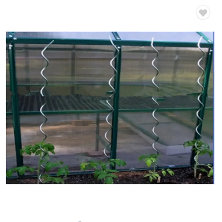 High Quality Tomato Support Spiral Wire Galvanized Spiral Wire Tomato Supportトマトスパイラル種子