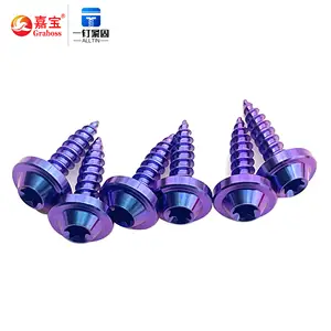 Titanium Alloy Disc Head Inner Blossom Self-Tapping Screw Inside Plum M4-M5 High Strength Riding Modification Screws