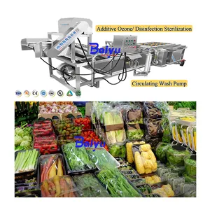 Baiyu Máquina automática de lavar frutas e vegetais para limpeza de frutas cítricas, alface e outros frutos