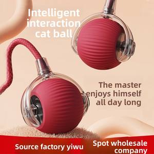 2025 Hot-Selling 360 ° Automatische Interactieve Siliconen Slimme Hond En Kat Speelgoed Met Touw Een Veelzijdig Huisdier Speelgoed - Product Image 6