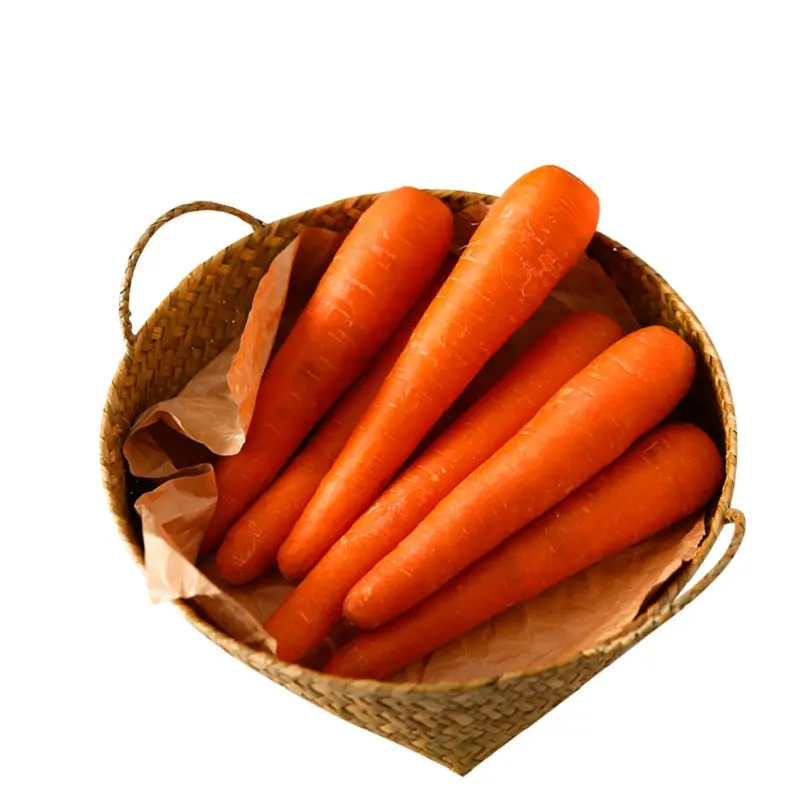 Купить морковь оптом. Морковь оптом. Морковь свежая цена. Морковь оптом 5+ Беларусь.