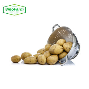 Оптовая продажа 1 год холодного хранения органический ирландский картофель большой желтый свежий урожай Шаньдун картофельные Семена сладкого вкуса Круглый 10 см Китай - Product Image 3