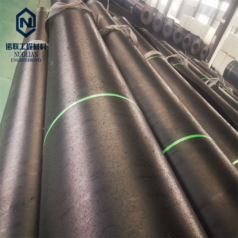Geomembrane Liner Pond Plastic Liner Geosynthetic