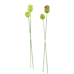Tallos Dobles de Ajo Artificial de 73 cm, Tallos de Ajo Simulados para Decoración de Interiores, Venta al por Mayor - Product Image 1