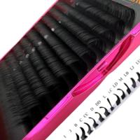 Extensions de cils en volume russe individuelles classiques en velours 0.03, noir mat foncé, en plateaux, avec logo personnalisé, vente en gros