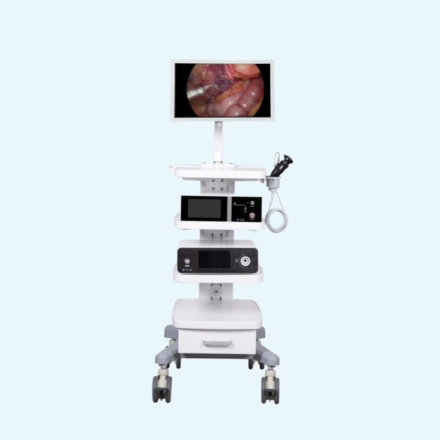 Factory Price 24 Inches HD Veterinary Endoscope Imaging System  for Animal Diagnosis and Surgery