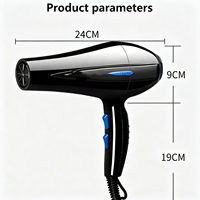 Ensemble de sèche-cheveux de voyage professionnel, compact en plastique, moteur DC, 3 vitesses, haute vitesse, électrique, pour salon, hôtel, usage domestique, ionique, 800W, ODM