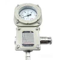 Explosion Proof Temperature Gauge Capillary IECEx Certified Temperature Instrument 4-20mA Output IP66 Ex d IIC T6 Gb