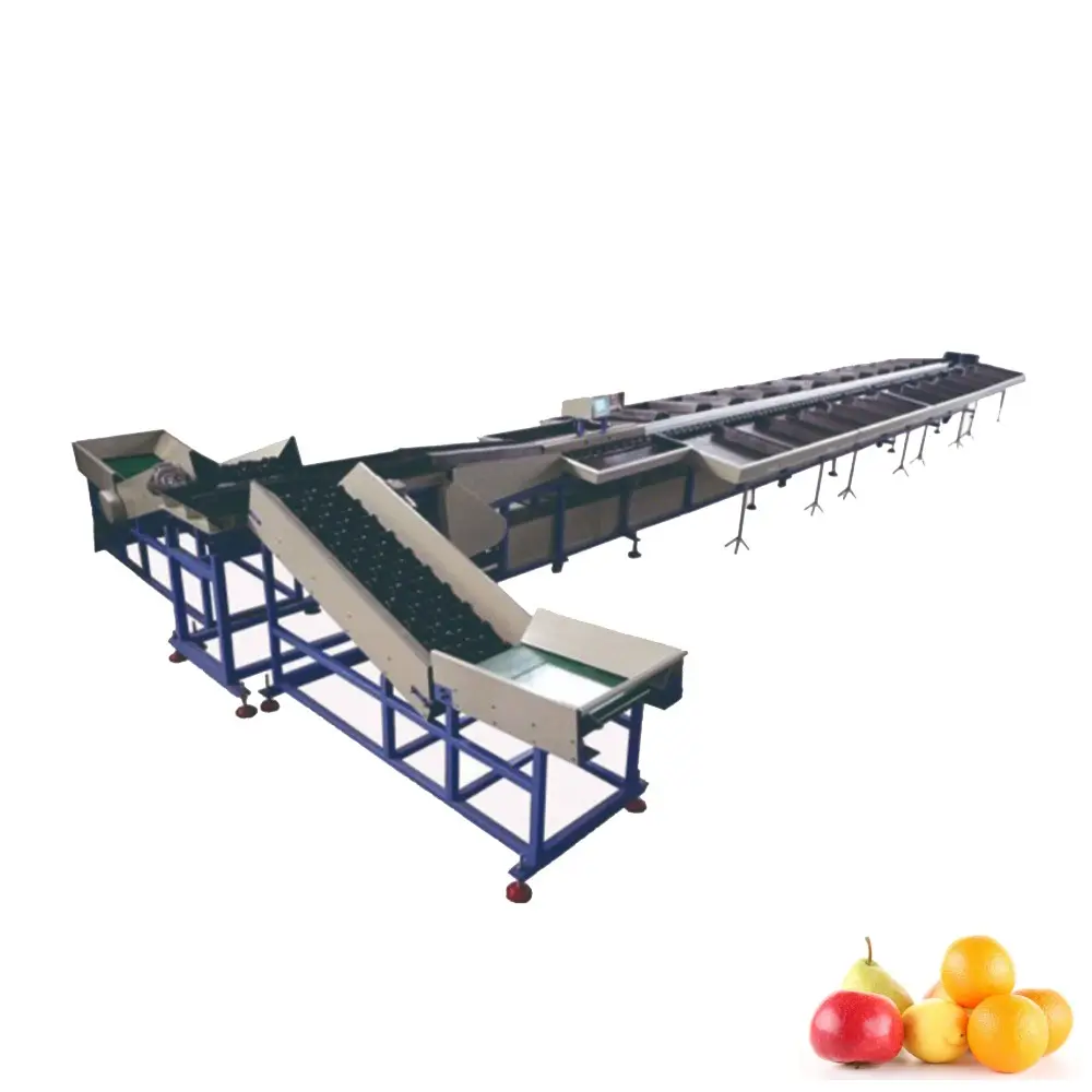 PLCシステム2レーン電子柑橘類マンゴーフルーツ重量グレーディング選別機
