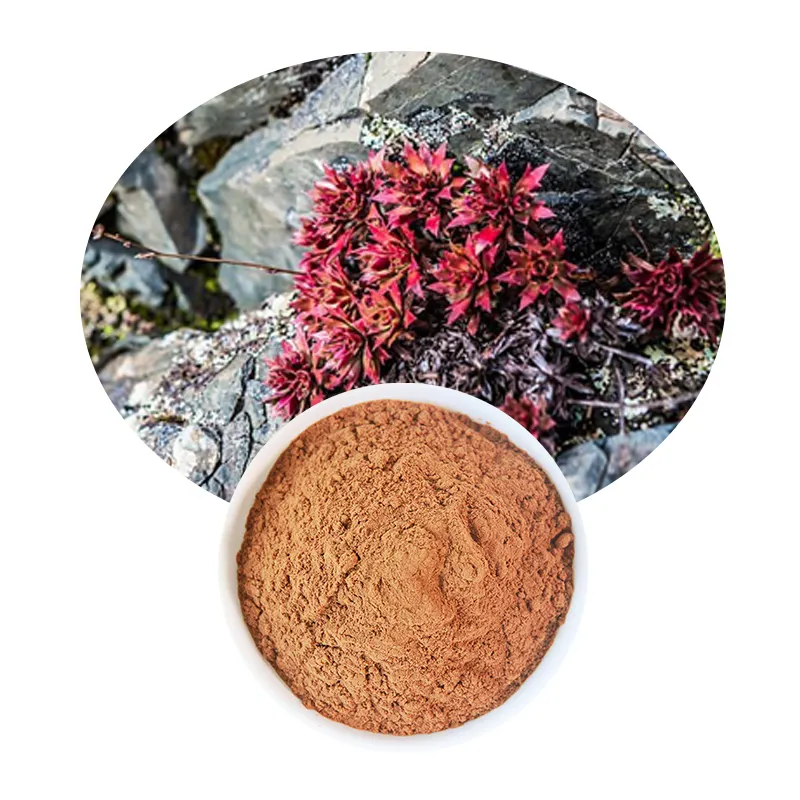 Supplément de santé extrait de Rhodiola Roses 3% Rosavin Salidroside Rhodiola Rosea extrait poudre