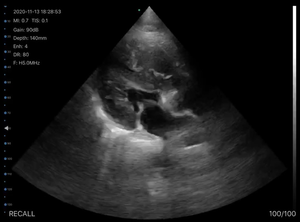 Máquina Portátil de Ecocardiografía, Sonda de Ultrasonido Veterinaria, Escáner Inalámbrico Portátil, Escáner Cardíaco para Animales - Product Image 3