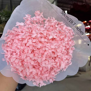 Anna büyük yaprak ortancaları korunmuş ağartılmış renk tek toplu kurutulmuş çiçekler ve bitkiler çiçek duvar dekor babalar günü - Product Image 4