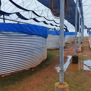 Pvc Gegalvaniseerde Bladvisvijver Voor Aquacultuur En Boomgaard Wateropslag <span class=keywords><strong>Koi</strong></span> Kreeft Fokkerij Tilapia Vijver Gegalvaniseerde Aquariumtanks - Product Image 6