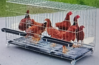 Nouvel équipement d'élevage avicole, cage à poules pondeuses de type H à 3/4 niveaux, en acier galvanisé à chaud, garantie 1 an