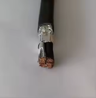 Cable de Alimentación Rru con Blindaje 2x7awg 2x8 Awg 2x10 Awg 2x12 Awg para Exteriores Resistente a los Rayos UV