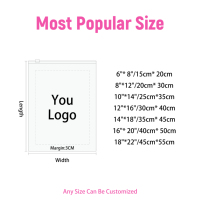 Sac en polyéthylène à fermeture éclair personnalisé, mat, givré, transparent, pour vêtements, vêtements, expédition, avec votre propre logo de marque