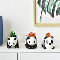 Pot Tanaman Sukulen Mini Kartun Panda Lucu Kecil Pot Bunga Keramik