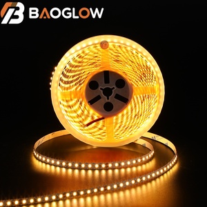 Led <b>Light</b> Strip Wholesale DC 12V 24V Led Strip <b>Light</b> Stripe <b>Ceiling</b> Strip <b>Lights</b> White Led Strips 120led Smart 8mm PCB - Product Image 1