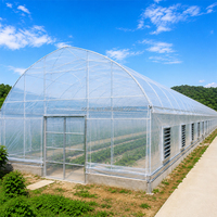 Serre en film à simple travée de petite taille, de haute qualité, pour la protection des plantes de pépinière agricoles contre la pluie et le vent, haute durabilité