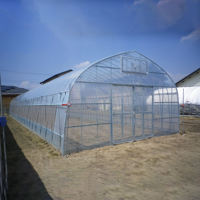 Serre Agricole Monocouche en Film Plastique, Tunnel de Culture, Ensemble Complet de Serre