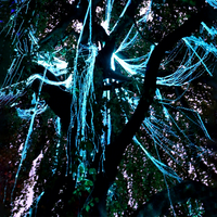 Arbre en fibre optique Avatar RGBW LED, éclairage en fibre optique, arbre en saule en fibre optique étanche pour la décoration de paysages et de jardins