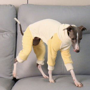 부드러운 신축성 캐주얼 배색 이탈리안 그레이하운드 위핏 겨울용 네발리스 폴리에스터 하이칼라 따뜻한 벨링턴 강아지 옷 - Product Image 6