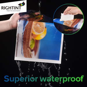 <span class=keywords><strong>Film</strong></span> PET transparent 50 microns, autocollant adhésif, masquage sensible à la pression, activé à l'eau, fusion à chaud, acrylique simple face - Product Image 4