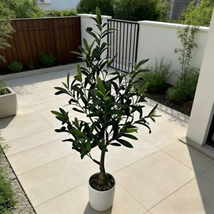 Olivo artificial, olivo artificial en maceta, olivo biónico, olivo artificial en maceta con aceite. - Product Image 3