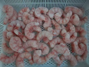 Gamberetti Sgusciati Congelati Prezzo di Fabbrica Gamberetti Pelati Congelati di Alta Qualità Esportazione All'Ingrosso 10kg - Product Image 6