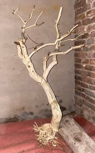 Ramo di <span class=keywords><strong>Legno</strong></span> Essiccato Fatto a Mano per Albero Decorativo Simulato, per Decorazioni di Matrimoni, Case e Hotel, Pianta Artificiale da Interno - Product Image 2