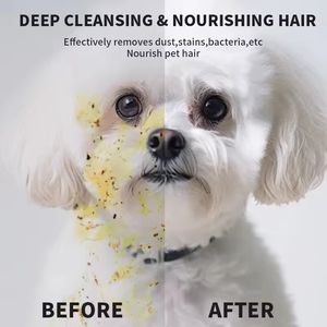 ผ้าเช็ดทำควา<span class=keywords><strong>ม</strong></span>สะอาดนิ้วมือแบบพกพาสำหรับสุนัขและ<span class=keywords><strong>แม</strong></span>ว ผลิตโดยโรงงานชั้นนำของจีน ขายส่งตา<span class=keywords><strong>ม</strong></span>สั่ง แพ็คเล็กสำหรับใช้เช็ดอุ้งเท้าและก้นระหว่างเดินทาง - Product Image 2