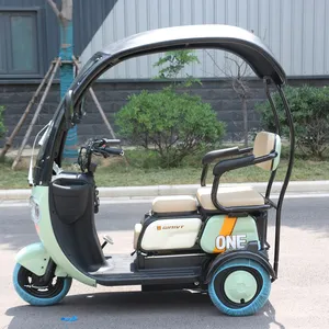 Electric tricycle handicapped Small Scooter Electric Tricycle 3 Wheels with cabin