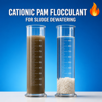 Agent de déshydratation des boues d'eaux usées, polyacrylamide cationique PAM, poudre chimique, pureté 99%, marque Zhendong, pour les eaux usées