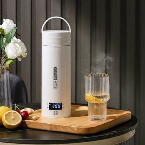 Bouilloires électriques avec thermomètre LED, bouteille isotherme, maintien au chaud, portable, automatique, pour voyage, expresso, café, bouilloire électrique - Product Image 1