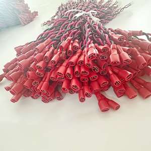 De Computer Is Ingeschakeld En De Lijn Opnieuw Opgestart - Product Image 5