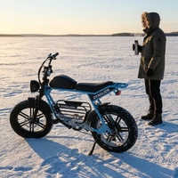 Vélo électrique tout-terrain à gros pneus avec batterie amovible, vélo électrique vintage pour la conduite sur neige en hiver