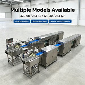 Máquina Automática para Recubrir con Chocolate Pequeños Productos - Product Image 1