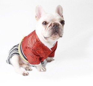 Pakaian Hewan Peliharaan Mewah Kualitas Tinggi Kimono Pakaian Samurai Jepang Pakaian Anjing Kucing Corgi - Product Image 2
