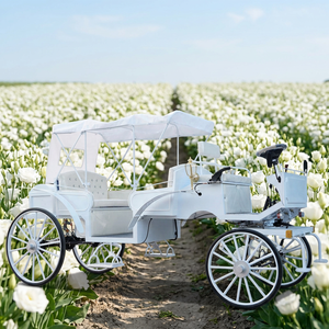 Élégante calèche électrique vintage blanche pure à quatre roues pour mariage et visites de parcs - Product Image 1
