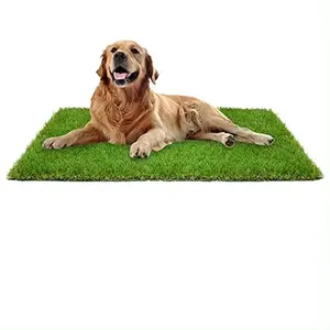 Thay thế cỏ vật nuôi tổng hợp Turf cho con chó Bô Khay-Phù hợp với khay 20 "x 30"