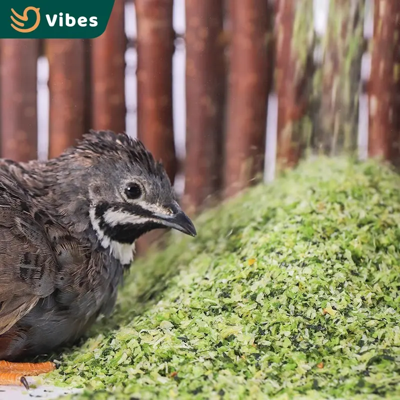 Zuidoost-Azië Speciale Biologische Vogel Rutin Kippenvoer Gedroogde Groente Liefde Vogel Mix Food Pet Natural Food