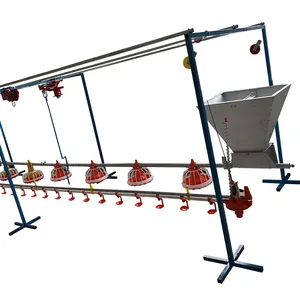 Buy Automatic Poultry Feeders and Drinkers for Chickens Farm Equipment Providing Efficient Chicken Feedings