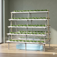 Système hydroponique NFT en A-frame à haut rendement, kit de culture verticale de 1,6 m avec pompe, tuyaux en PVC anti-UV, garantie 1 an pour laitues et herbes aromatiques