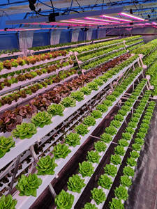 Système hydroponique NFT 36/54/72/108 trous Kits Tube en PVC Vertical 'A' Type systèmes de culture fermes nouveau noyau de pompe d'état - Product Image 6