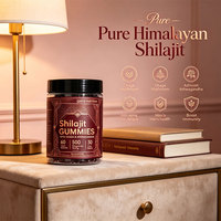 Gummies OEM Shilajit avec Ashwagandha et 105 Minéraux pour le Soutien Immunitaire - Complément Herbal pour Adultes