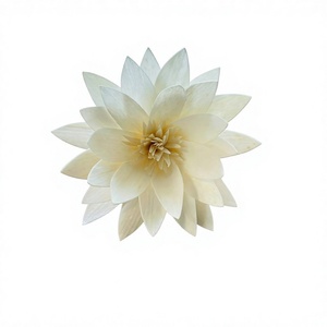 VADEE Premium Lotus Style Reed <b>Diffuser</b> <b>Flower</b> Sola Wood <b>Flowers</b> Sustainable Craft Handmade Seafoam Green Anemone 001 Phra - Product Image 1
