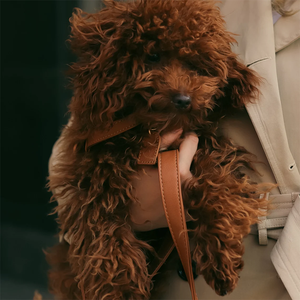 Tali kekang anjing piaraan kulit mewah dapat diatur kualitas tinggi kustom pemasok hewan peliharaan dengan Set tali - Product Image 5